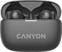 Canyon TWS-10