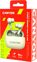 Canyon TWS-10