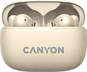 Canyon TWS-10