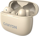 Canyon TWS-10