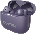 Canyon TWS-10
