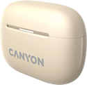 Canyon TWS-10