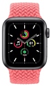 Apple Watch SE GPS 40mm Aluminum Case with Braided Solo Loop