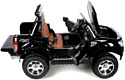 Electric Toys Ford Ranger Lux 24V 4x4 (черный)