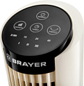 Brayer BR4979