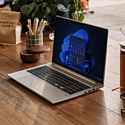HP ProBook 450 G10 (9G2N8ET)