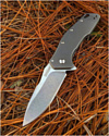 Kershaw 1881 Eris