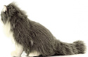 Hansa Сreation Персидский кот Табби серый с белым 5012 (38 см)