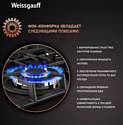 Weissgauff HGG 641 BV Nano Matt Glass