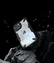 Ringke Fusion X для iPhone 15 (Black)