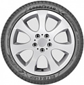 Goodyear UltraGrip Performance+ 275/45 R21 110H