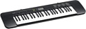 Casio CTK-245