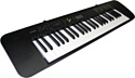 Casio CTK-245