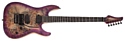 Schecter C-6 Pro FR