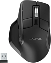 JLab Audio Epic black