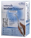WaterPik WP-660 Aquarius Professional