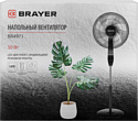 Brayer BR4971