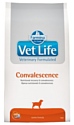 Farmina Vet Life Canine Convalescence (2 кг)