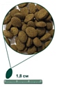 Arden Grange (2 кг) Adult лосось и рис сухой корм для взрослых собак