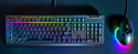 Razer blackWidow V4 X Razer Yellow