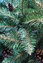 Christmas Tree Роял Люкс с шишками 1 м