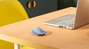 Logitech M172 blue