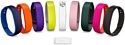 Sony SmartBand SWR10