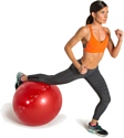 Go Fit Pro Stability Ball 55 см