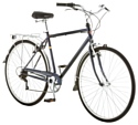 Schwinn Wayfarer (2019)