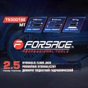 FORSAGE F-T830018E MT