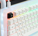 Akko ACR Pro 75 White Akko CS Crystal (без кириллицы)