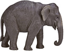 Konik Азиатский слон AMW2115