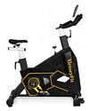 VictoryFit VF-GymRider 225