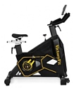 VictoryFit VF-GymRider 225