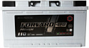 Forvard EFB Premium (110Ah)