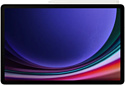 Samsung Galaxy Tab S9 5G SM-X716 12/256GB