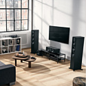 Dynaudio EMIT 50