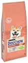 DOG CHOW (14 кг) Sensitive с лососем для собак с чувствительным пищеварением