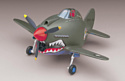 Hasegawa P-40 Warhawk