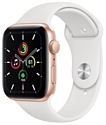 Apple Watch SE GPS 40mm Aluminum Case with Sport Band