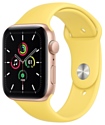 Apple Watch SE GPS 40mm Aluminum Case with Sport Band