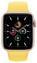 Apple Watch SE GPS 40mm Aluminum Case with Sport Band