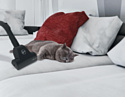 Hoover HP322PET 011