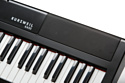 Kurzweil KA50