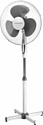 Normann ACF-196 Normann ACF-196