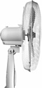 Normann ACF-196 Normann ACF-196