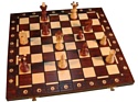 Wegiel Chess Ambasador