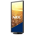 NEC MultiSync EA295WMi