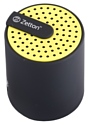 Zetton Cylinder