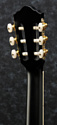 Ibanez AEG10NII-BK